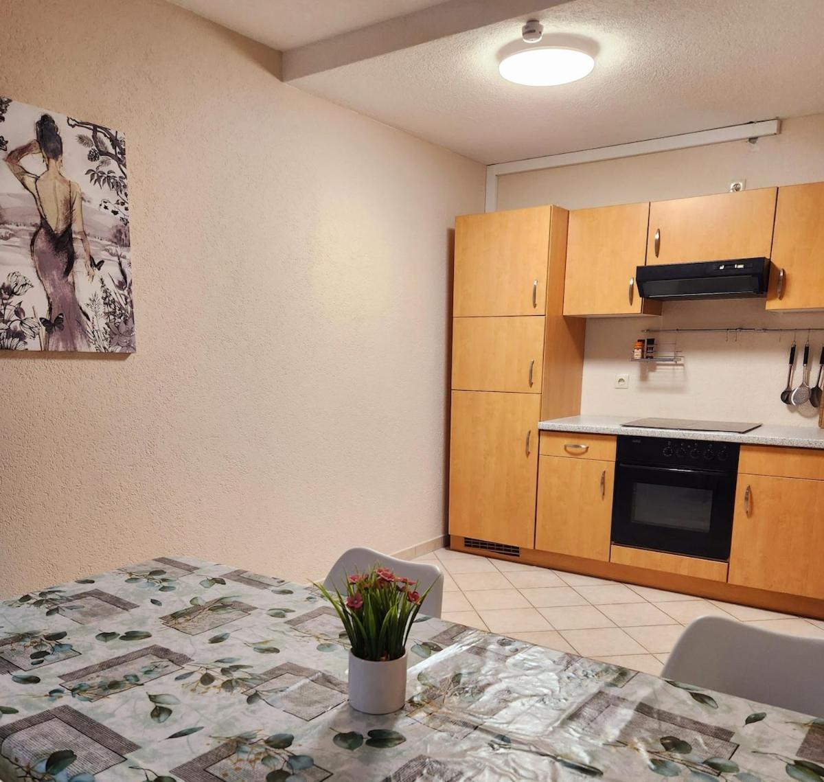 Sj Apartment Chemnitz Eksteriør bilde